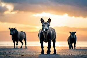 drie paarden staand Aan de strand Bij zonsondergang. ai-gegenereerd foto