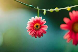 twee roze bloemen zijn hangende van een Liaan. ai-gegenereerd foto