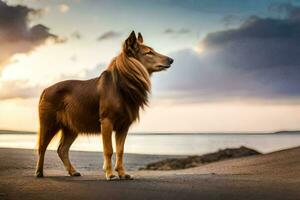 een hond staand Aan de strand Bij zonsondergang. ai-gegenereerd foto