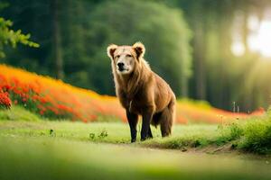 een bruin beer is staand in de midden- van een veld. ai-gegenereerd foto