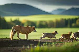 een groep van honden en een baby in de veld. ai-gegenereerd foto