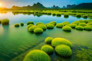 de met gras begroeid velden van China. ai-gegenereerd foto