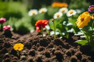 een tuin met veel verschillend bloemen groeit in de aarde. ai-gegenereerd foto