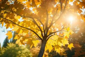 de zon schijnt door de bladeren van een boom. ai-gegenereerd foto