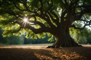 de zon schijnt door de bladeren van een groot boom. ai-gegenereerd foto