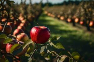 een appel boom in een boomgaard met veel appels. ai-gegenereerd foto