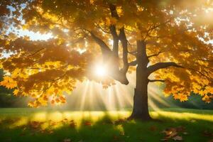 de zon schijnt door de bladeren van een herfst boom. ai-gegenereerd foto