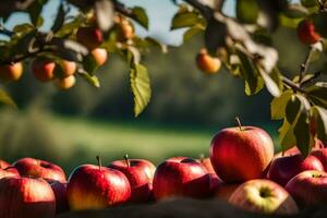 appels zijn zittend Aan de grond in voorkant van een boom. ai-gegenereerd foto
