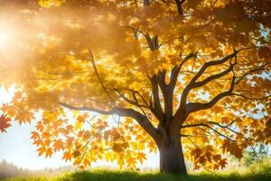 herfst boom met zon schijnend door bladeren. ai-gegenereerd foto