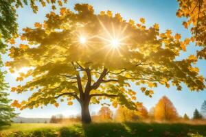 de zon schijnt door de bladeren van een boom in de herfst. ai-gegenereerd foto
