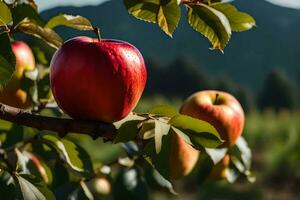 appels Aan een boom in de boomgaard. ai-gegenereerd foto