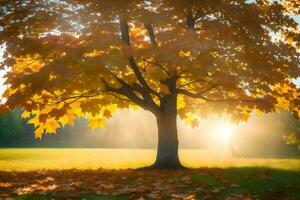 herfst boom met zonnestralen schijnend door bladeren. ai-gegenereerd foto