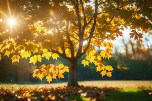 herfst boom met geel bladeren en zon schijnt. ai-gegenereerd foto