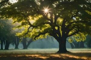 de zon schijnt door de bomen in een veld. ai-gegenereerd foto