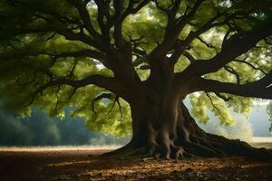 een oud boom is getoond in de zonlicht. ai-gegenereerd foto