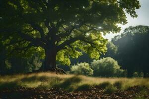 een groot boom is staand in de midden- van een veld. ai-gegenereerd foto