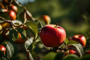 een appel boom met rood appels Aan het. ai-gegenereerd foto