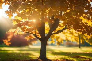 een boom in de midden- van een herfst park. ai-gegenereerd foto