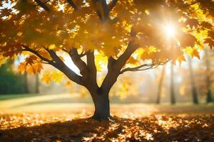 herfst boom in de zon. ai-gegenereerd foto