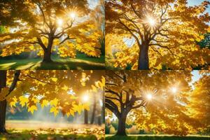 vier verschillend afbeeldingen van bomen in herfst. ai-gegenereerd foto