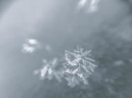 sneeuwvlok close-up foto