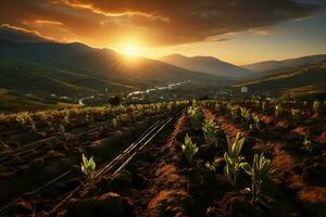 mooi visie van een thee veld- plantage, wijngaard boerderij of aardbei tuin in de groen heuvels Bij zonsopkomst concept door ai gegenereerd foto