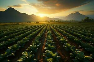 mooi visie van een thee veld- plantage, wijngaard boerderij of aardbei tuin in de groen heuvels Bij zonsopkomst concept door ai gegenereerd foto