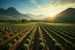 mooi visie van een thee veld- plantage, wijngaard boerderij of aardbei tuin in de groen heuvels Bij zonsopkomst concept door ai gegenereerd foto