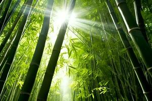 visie van botanisch groen bamboe tropisch Woud in daglicht. oosters bamboe bosje in China Japans concept door ai gegenereerd foto