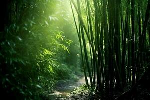 visie van botanisch groen bamboe tropisch Woud in daglicht. oosters bamboe bosje in China Japans concept door ai gegenereerd foto