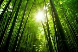 visie van botanisch groen bamboe tropisch Woud in daglicht. oosters bamboe bosje in China Japans concept door ai gegenereerd foto