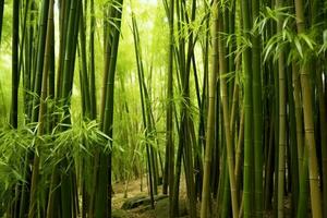 visie van botanisch groen bamboe tropisch Woud in daglicht. oosters bamboe bosje in China Japans concept door ai gegenereerd foto