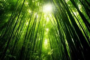 visie van botanisch groen bamboe tropisch Woud in daglicht. oosters bamboe bosje in China Japans concept door ai gegenereerd foto