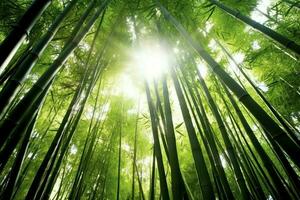 visie van botanisch groen bamboe tropisch Woud in daglicht. oosters bamboe bosje in China Japans concept door ai gegenereerd foto