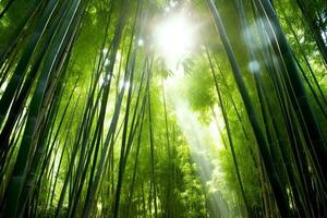 visie van botanisch groen bamboe tropisch Woud in daglicht. oosters bamboe bosje in China Japans concept door ai gegenereerd foto