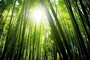 visie van botanisch groen bamboe tropisch Woud in daglicht. oosters bamboe bosje in China Japans concept door ai gegenereerd foto