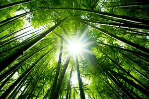 visie van botanisch groen bamboe tropisch Woud in daglicht. oosters bamboe bosje in China Japans concept door ai gegenereerd foto