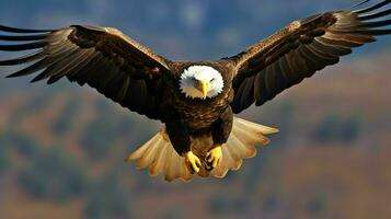 adelaar vrij vliegend onder de zonlicht en blauw lucht. roofzuchtig vogel jacht- in safari oosten- Afrika concept door ai gegenereerd foto