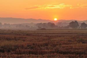 zonsondergang op het veld foto