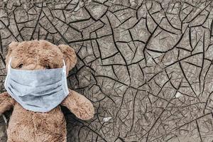 theebeer met medisch masker op een droog land. foto