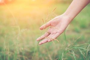 vrouw hand aanraken van groen gras op weiden.
