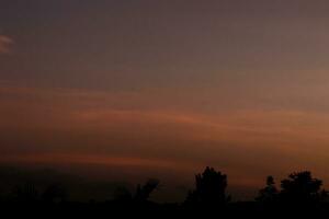 silhouet van een boom in de zonsondergang foto