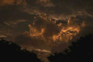 dramatisch zonsondergang lucht met donker silhouetten van bomen foto