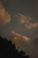 gekleurde wolken Bij zonsondergang in de buurt de oceaan met een boom foto