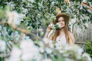 mooi jong meisje in wit jurk en hoed in bloeiend appel boomgaard. bloeiend appel bomen met wit bloemen. foto