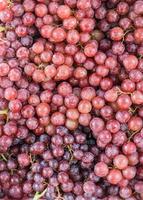 verse rode druiven op de markt