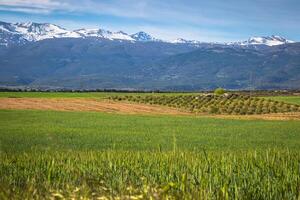 Sierra Nevada berg reeks Spanje foto