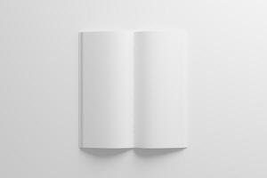 dl zadel steek tweevoudig brochure wit blanco 3d renderen mockup foto