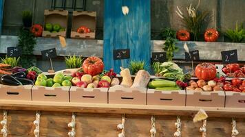 voedsel eerlijk met boeren markt staan naar verkopen biologisch produceren foto