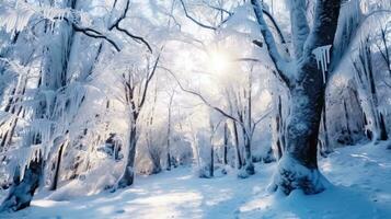 de winter omhelzing - zonovergoten Woud en bevroren landschap - generatief ai foto